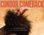 Condor Comeback - Preview