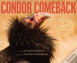 Capa do artigo Condor Comeback