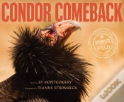 Capa do artigo Condor Comeback