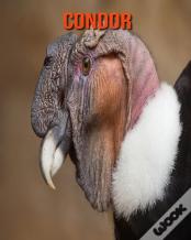 Condor