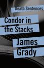 Condor In The Stacks - Preview