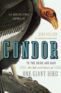 Condor - Preview