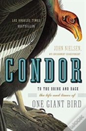 Capa do artigo Condor