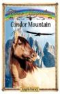 Condor Mountain - Preview