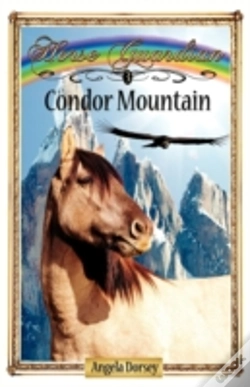 Capa do artigo Condor Mountain