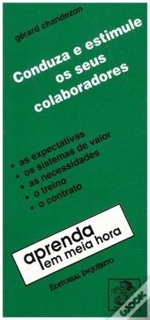 Conduza e Estimule os Seus Colaboradores
