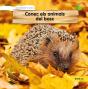 Conec Els Animals Del Bosc - Preview