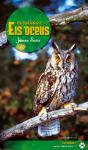 Coneixer Els Ocells - Preview