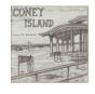 Coney Island During The Pandemic - Preview