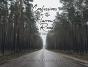 Confessions For The Narrow Road - Preview