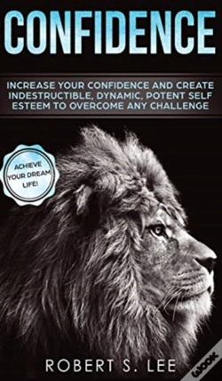 Capa do artigo Confidence