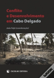 Capa do artigo Conflito e Desenvolvimento em Cabo Delgado
