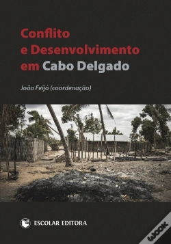 Capa do artigo Conflito e Desenvolvimento em Cabo Delgado