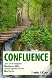 Capa do artigo Confluence