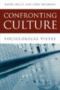 Confronting Culture - Preview
