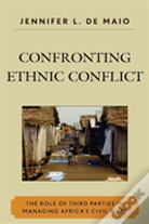 Confronting Ethnic Conflict