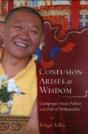 Confusion Arises As Wisdom - Preview