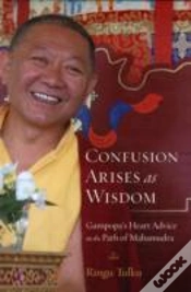 Capa do artigo Confusion Arises As Wisdom