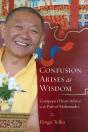 Confusion Arises As Wisdom - Preview