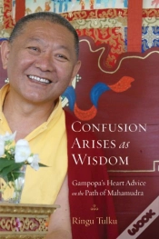 Capa do artigo Confusion Arises As Wisdom