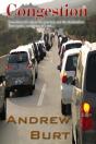 Congestion - Preview