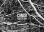 Congo - Preview