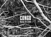 Capa do artigo Congo