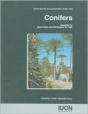 Conifers - Preview