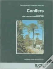 Capa do artigo Conifers