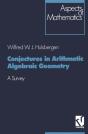 Conjectures In Arithmetic Algebraic Geometry - Preview