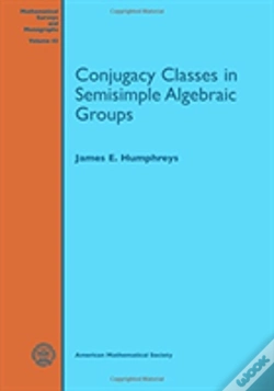 Capa do artigo Conjugacy Classes In Semisimple Algebraic Groups