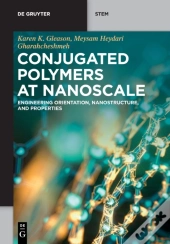 Conjugated Polymers At Nanoscale