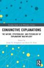Conjunctive Explanations - Preview