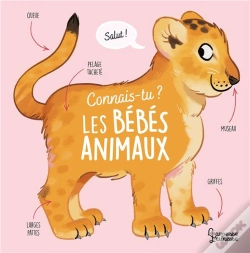 Capa do artigo Connais-Tu Les Bébés Animaux ?