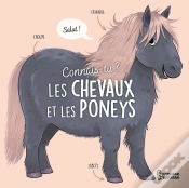 Capa do artigo Connais-Tu ? Les Chevaux Et Les Poneys