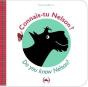 Connais-Tu Nelson ? - Preview