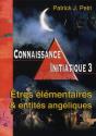 Connaissance Initiatique Tome 3 ; Êtres Élémentaires Et Entités Angéliques - Preview