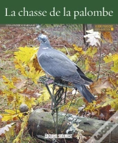 Connaître La Chasse De La Palombe