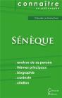 Connaître Un Philosophe : Sénèque ; Analyse Complète De Sa Pensée - Preview