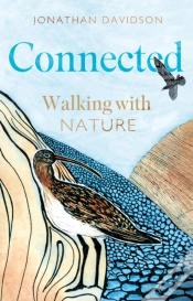 Capa do artigo Connected