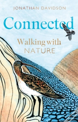 Capa do artigo Connected