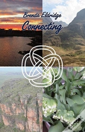 Capa do artigo Connecting