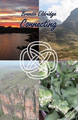 Capa do artigo Connecting