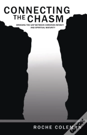 Capa do artigo Connecting The Chasm