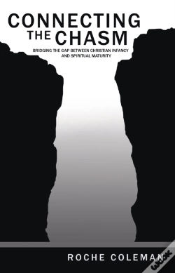 Capa do artigo Connecting The Chasm