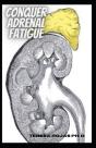 Conquer Adrenal Fatigue - Preview