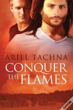 Capa do artigo Conquer The Flames