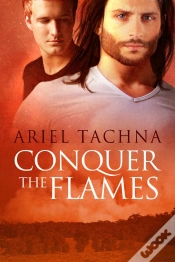 Capa do artigo Conquer The Flames