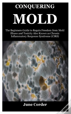 Capa do artigo Conquering Mold