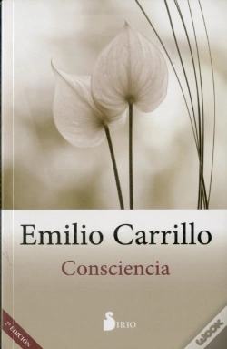 Capa do artigo Consciencia